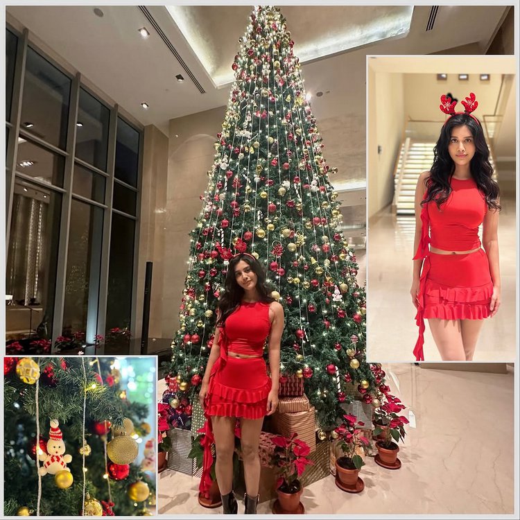 South Actress Christmas celebration Images