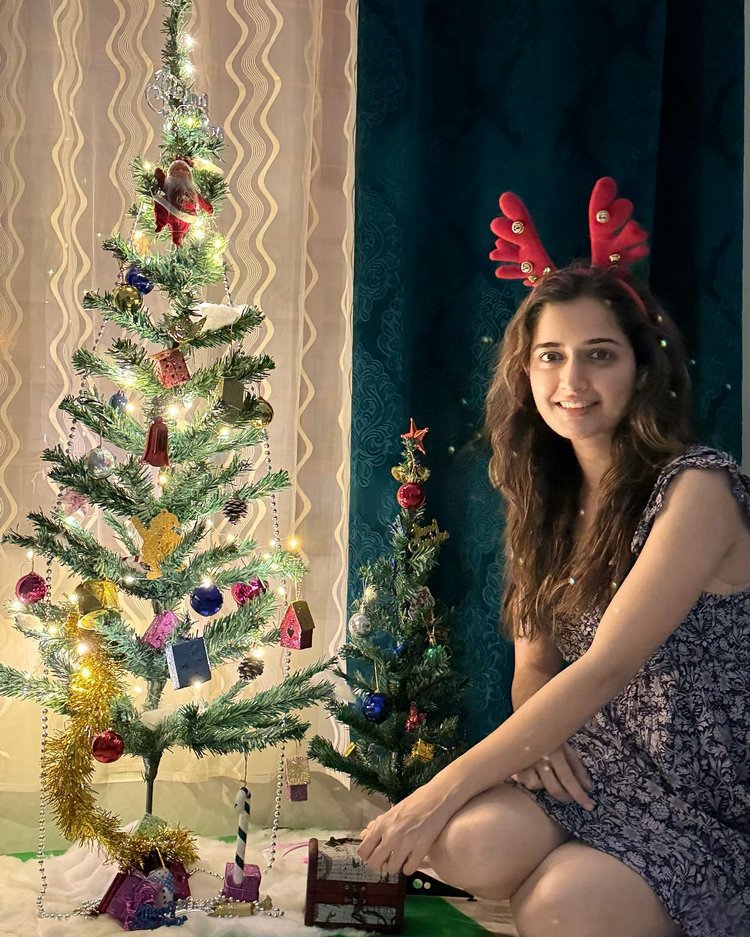 South Actress Christmas celebration Images