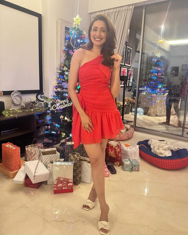 South Actress Christmas celebration Images