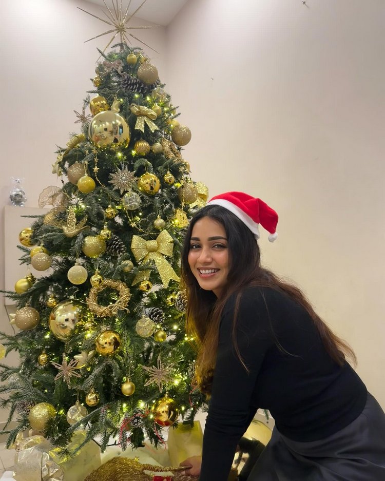 South Actress Christmas celebration Images