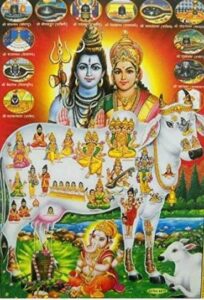 om namah shivay