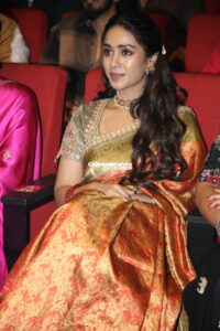 Nivedha Pethuraj Latest Saree Stills From AK 47 Pre Release Event