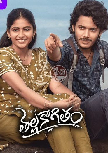 Thella Kaagitham Movie Review And Rating